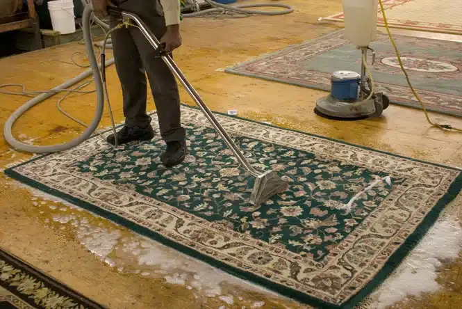 How Often Should Rugs Be Cleaned? Expert Cleaning Guide