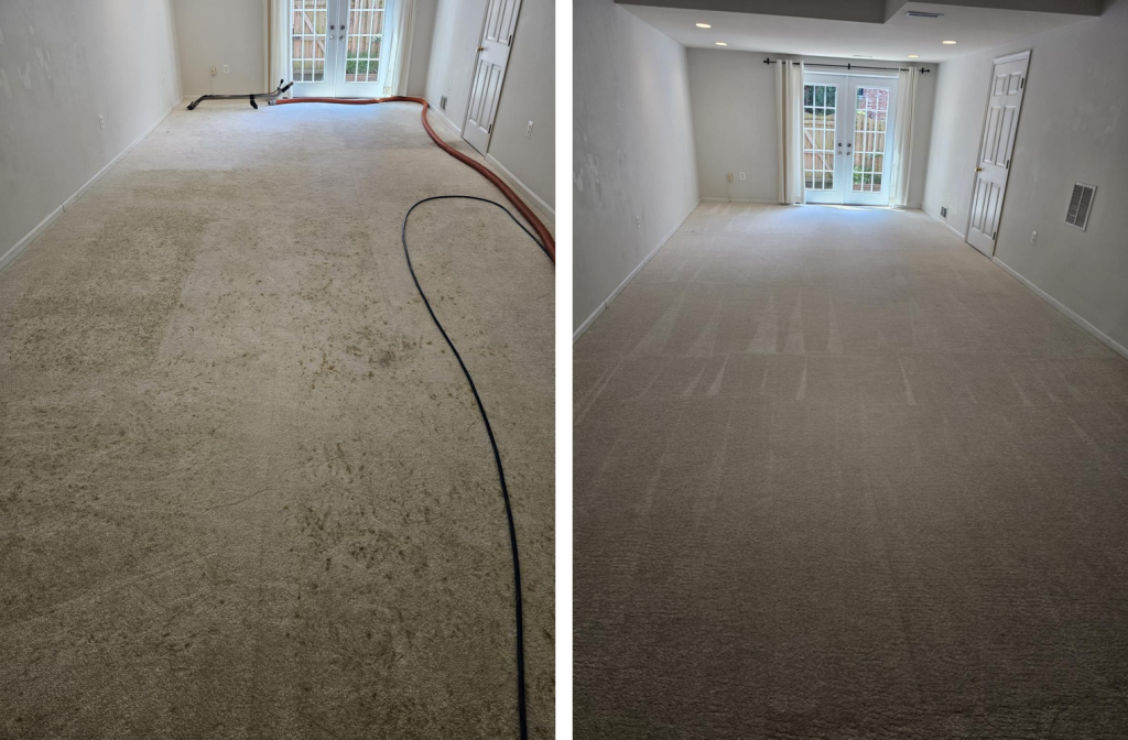 Carpet Cleaning Doylestown
