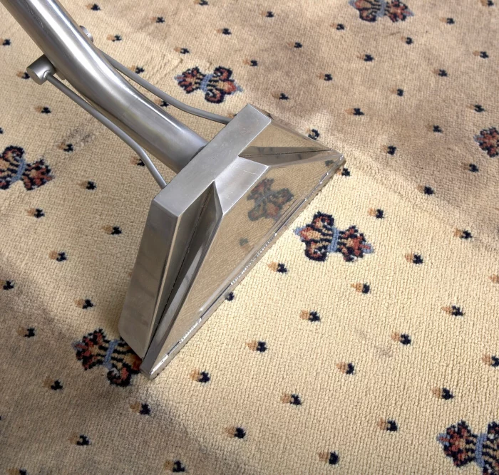 Carpet Cleaning Macungie