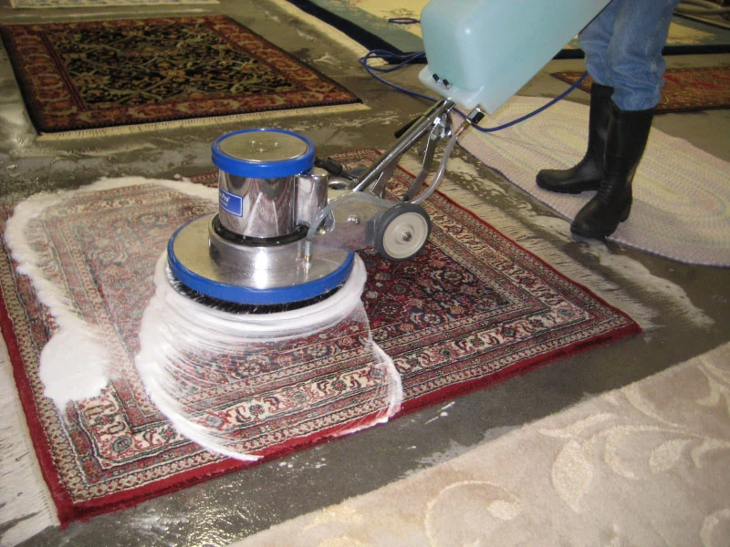 Oriental Rug Cleaning Orefield